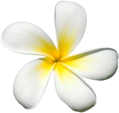 Image is not available