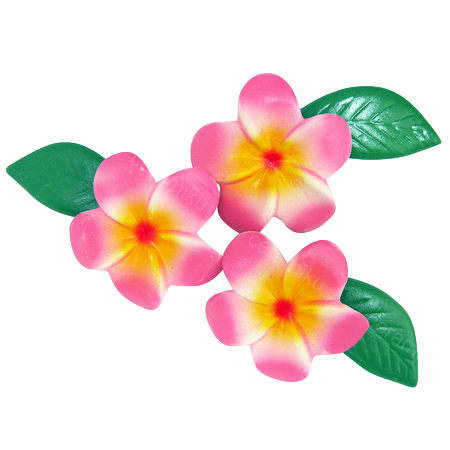 Image is not available
